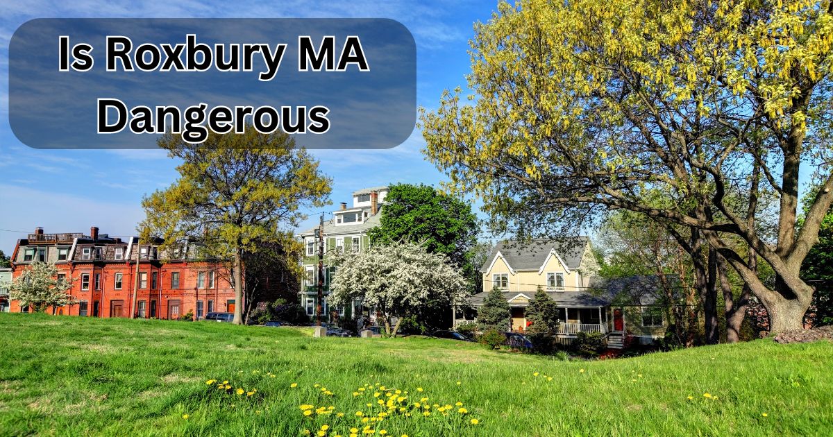 Is Roxbury MA Dangerous