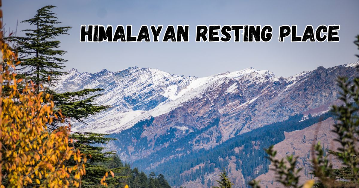 himalayan resting place