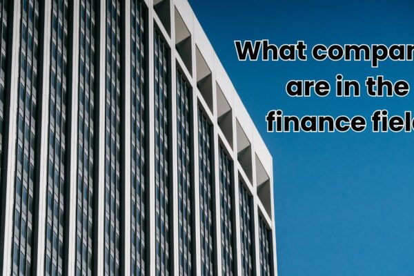 what companies are in the finance field