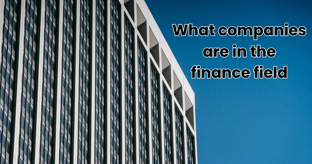 what companies are in the finance field